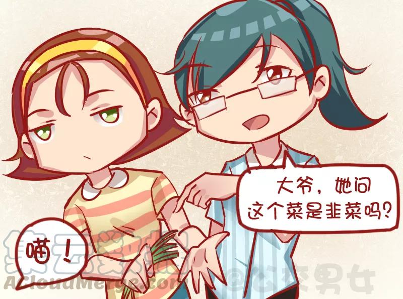 第1139话 韭菜猫2