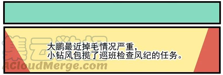 天高50 西城天高-50-大鹏叫我来巡班4