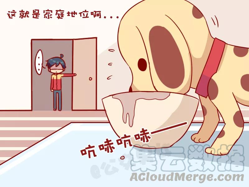 第1004话 家庭地位4