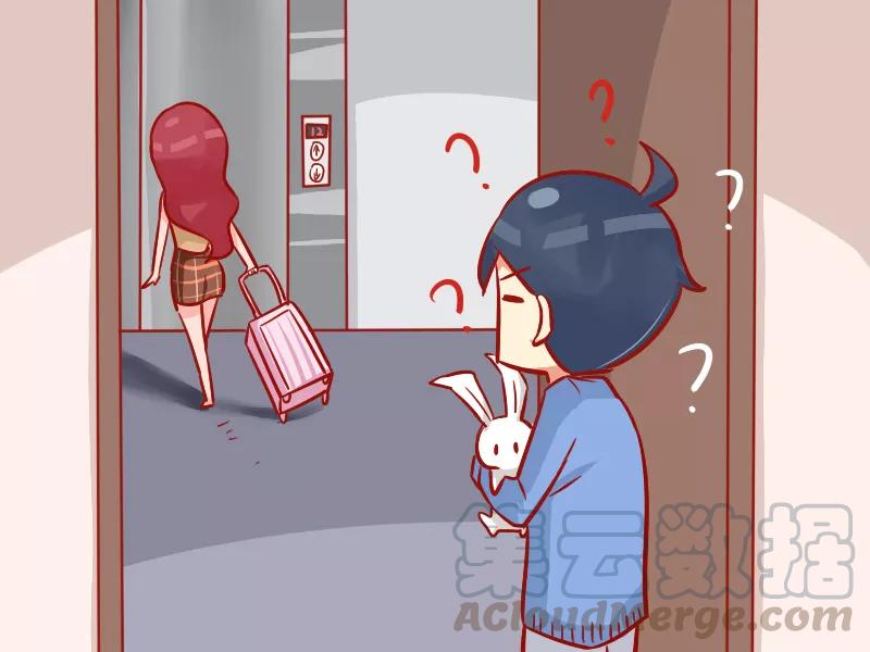 第952话 可爱兔兔2