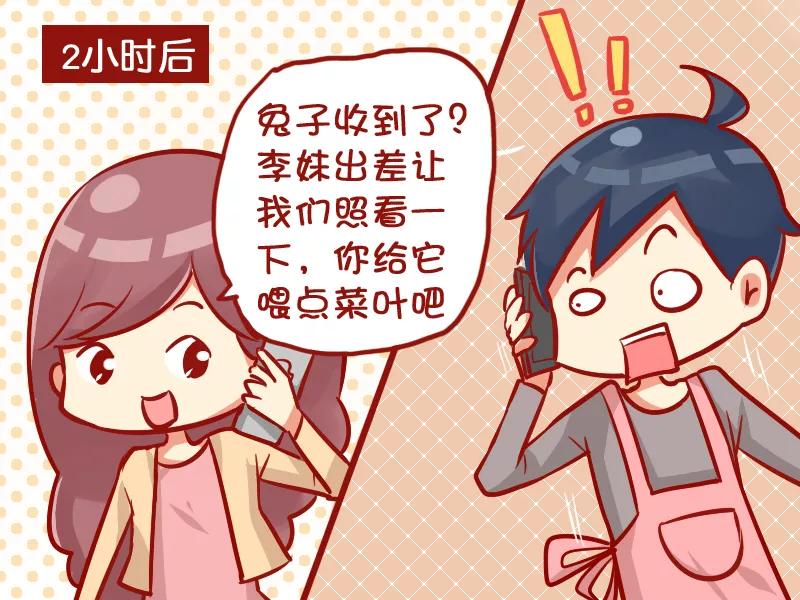 第952话 可爱兔兔3