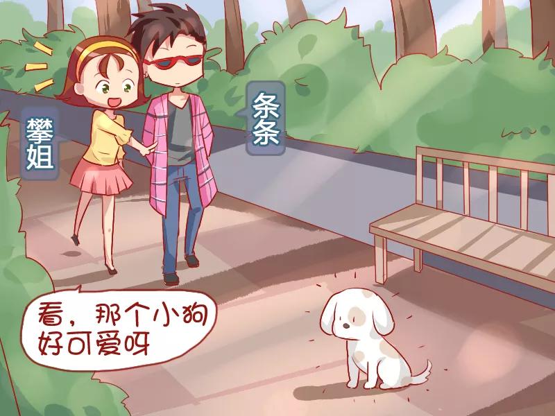 第798话 可爱的小狗1