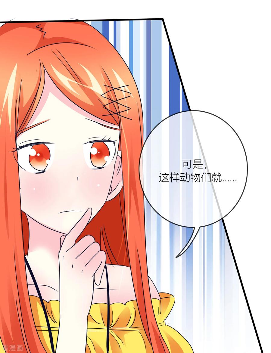 第29话 梦幻岛变废墟1