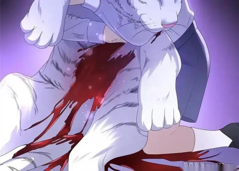 恰似寒光遇骄阳~漫画,第561话 这个风险值得冒4图