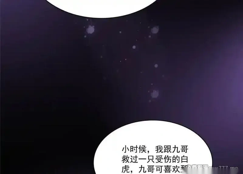 恰似寒光遇骄阳~漫画,第561话 这个风险值得冒2图