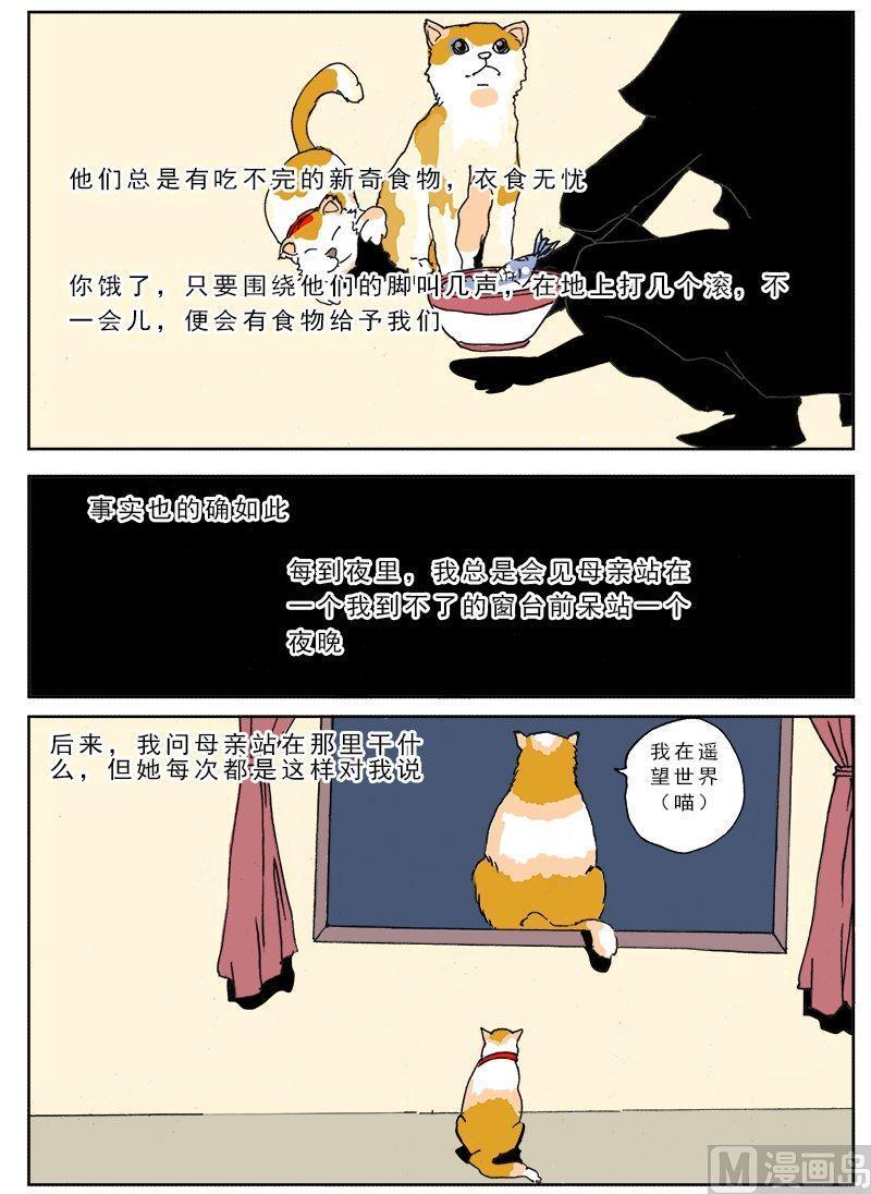 正文 110 特别篇 我的一生3