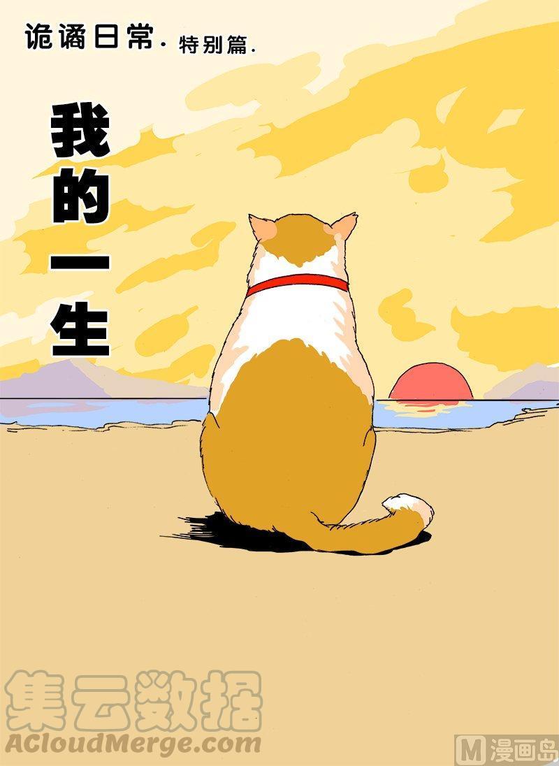 正文 110 特别篇 我的一生0