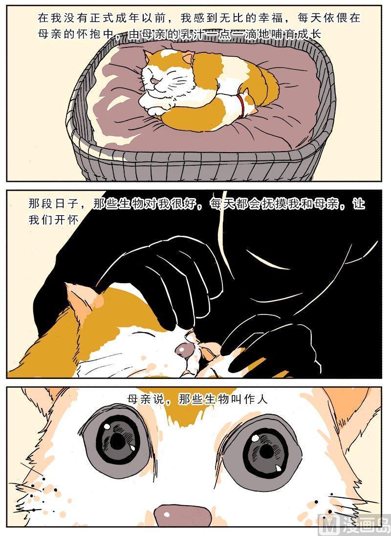 正文 110 特别篇 我的一生2