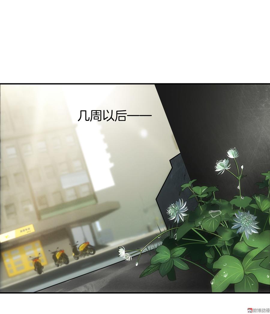 第75话 岳氏集团1