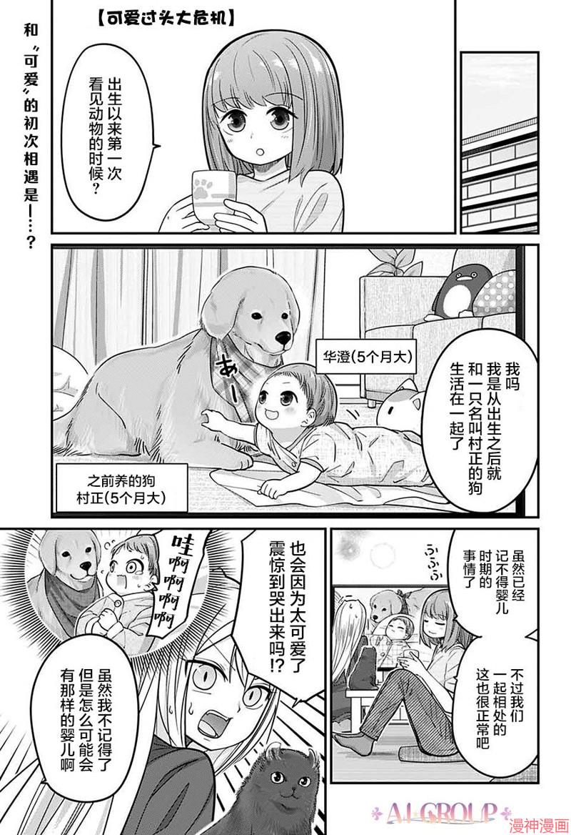 可爱过头大危机~漫画,第71话1图