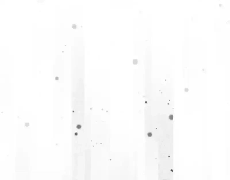 某个继母的童话~漫画,第161话 暗流涌动1图