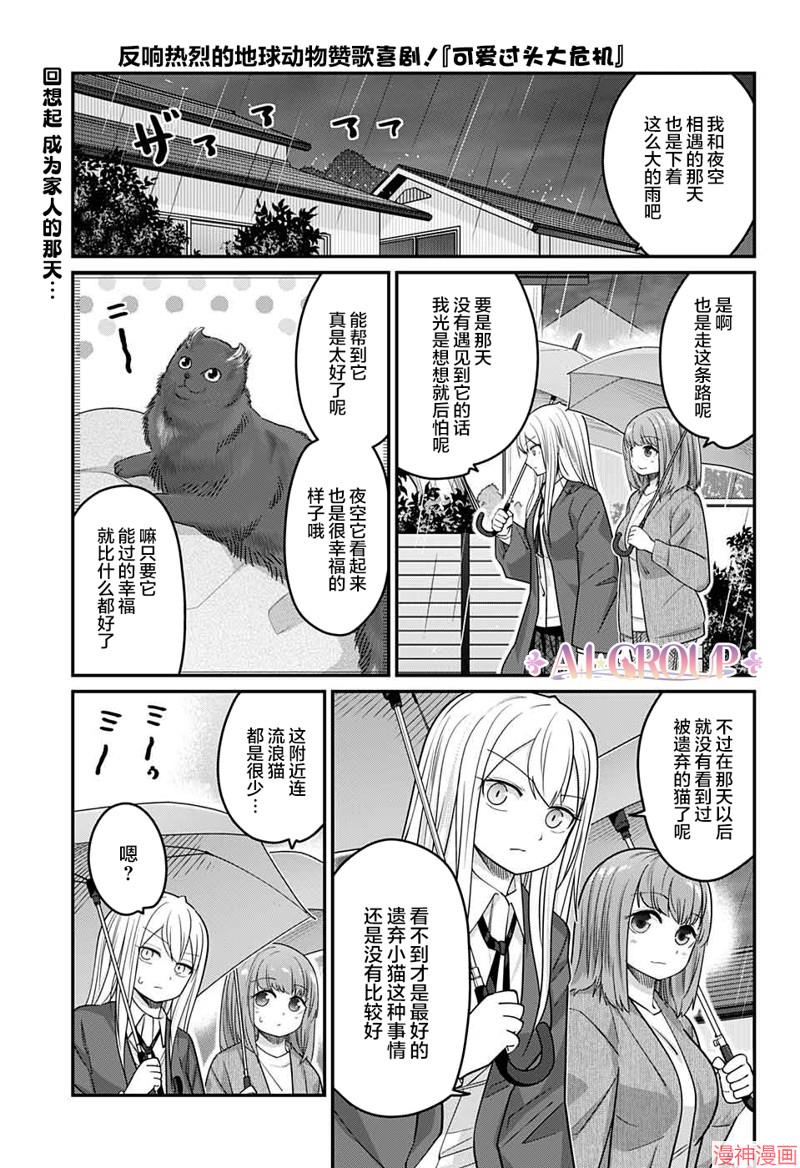 可爱过头大危机~漫画,第53话1图