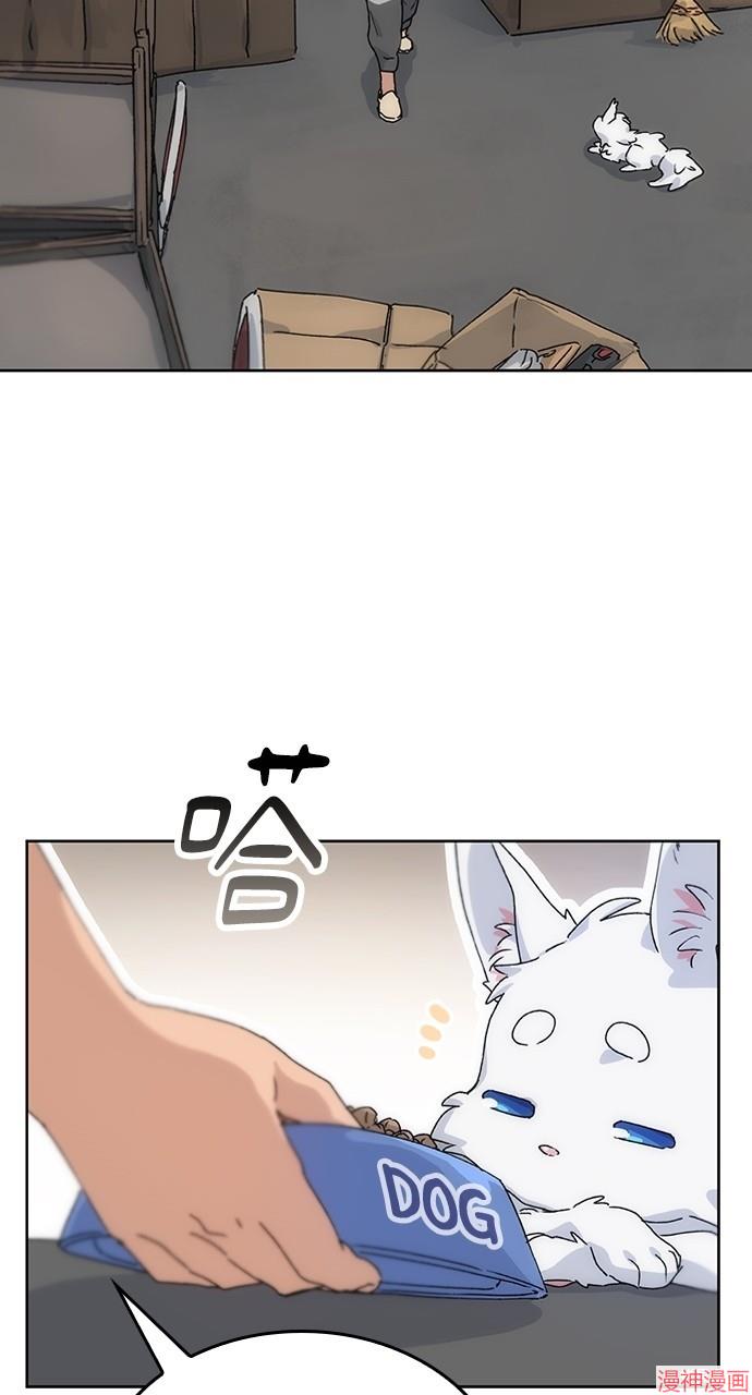 异世界露营疗愈生活~漫画,第2话4图