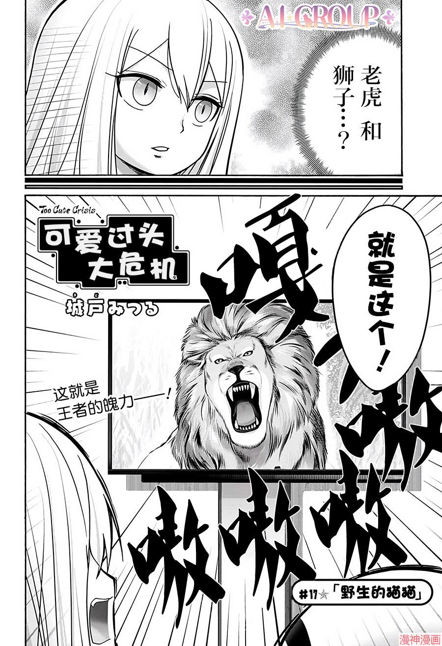 可爱过头大危机~漫画,第17话2图