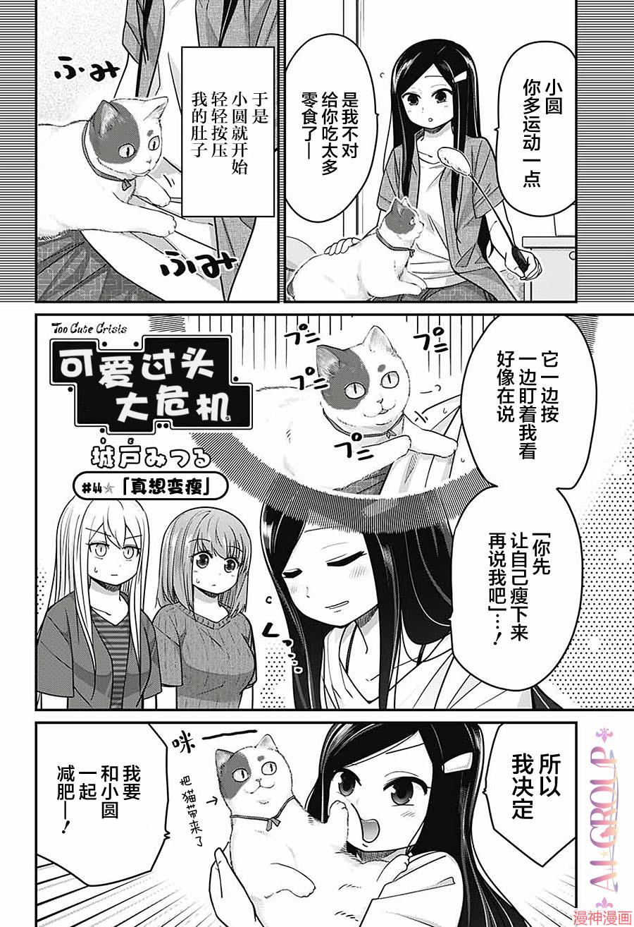 可爱过头大危机~漫画,第44话2图