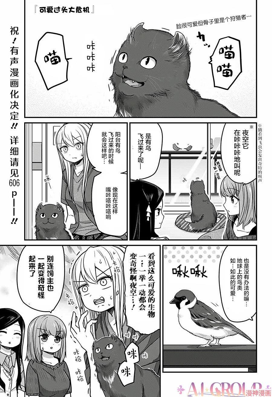 可爱过头大危机~漫画,第43话1图