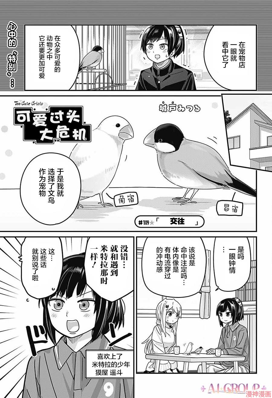 可爱过头大危机~漫画,第109话1图