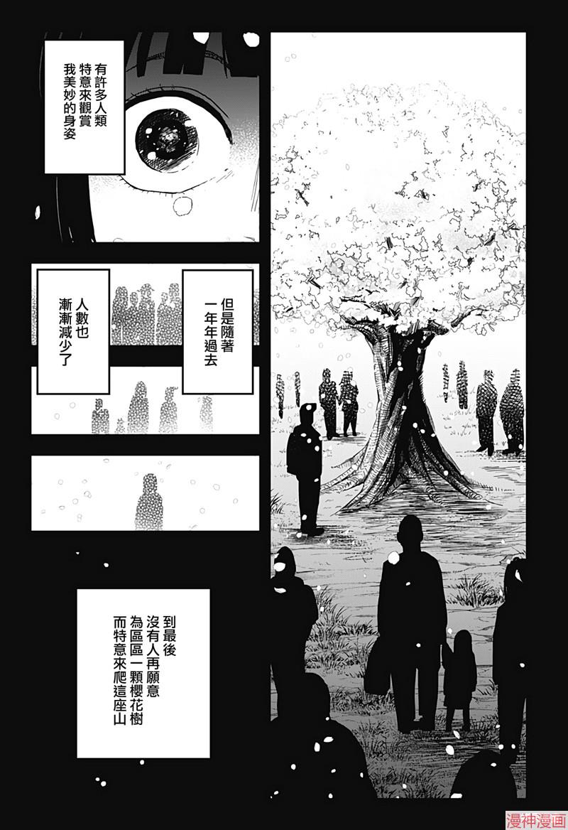 柴田雅集家居甄选漫画,第20话5图