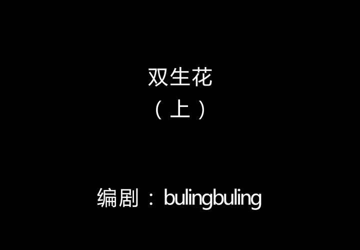 第22话 双生花（上）1
