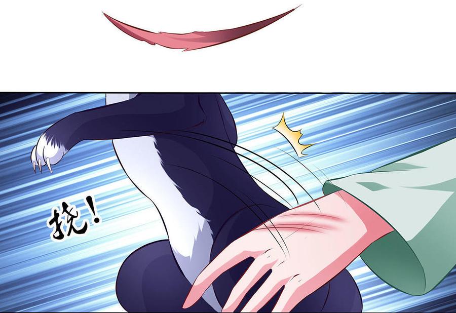 第12话又遇小黑猫2