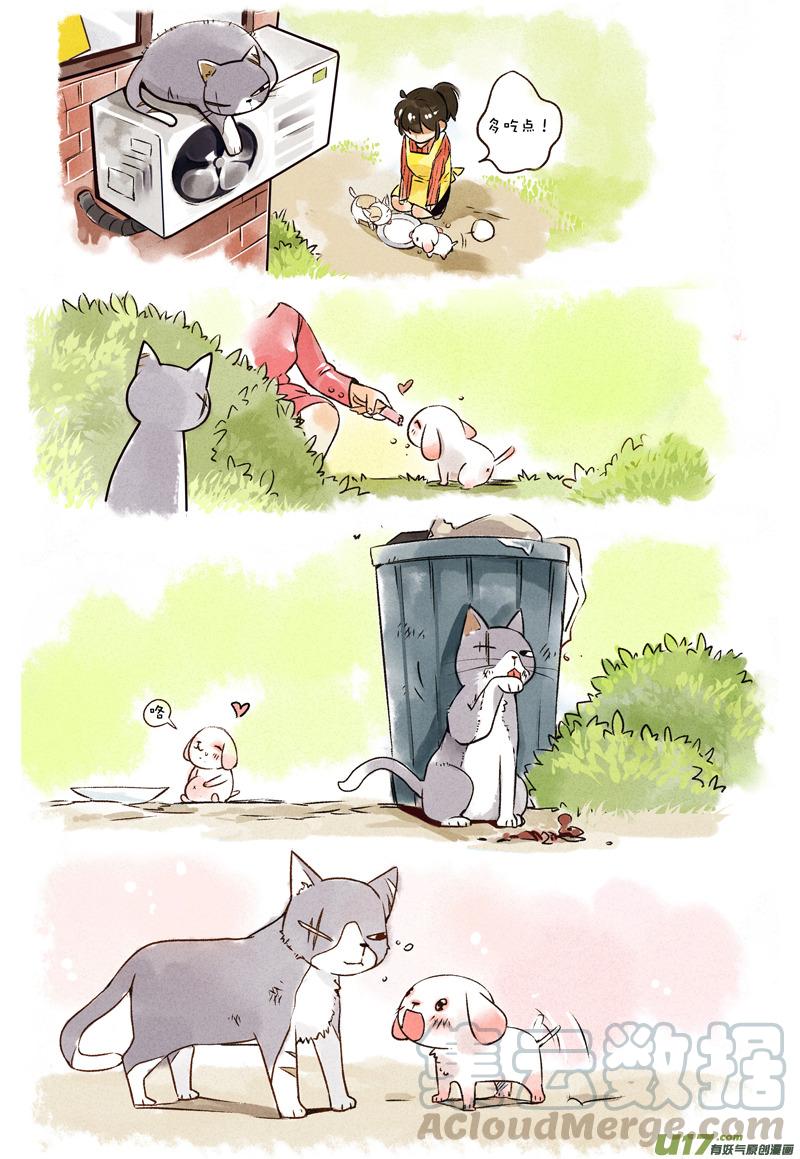 053 吃不饱的花卷32