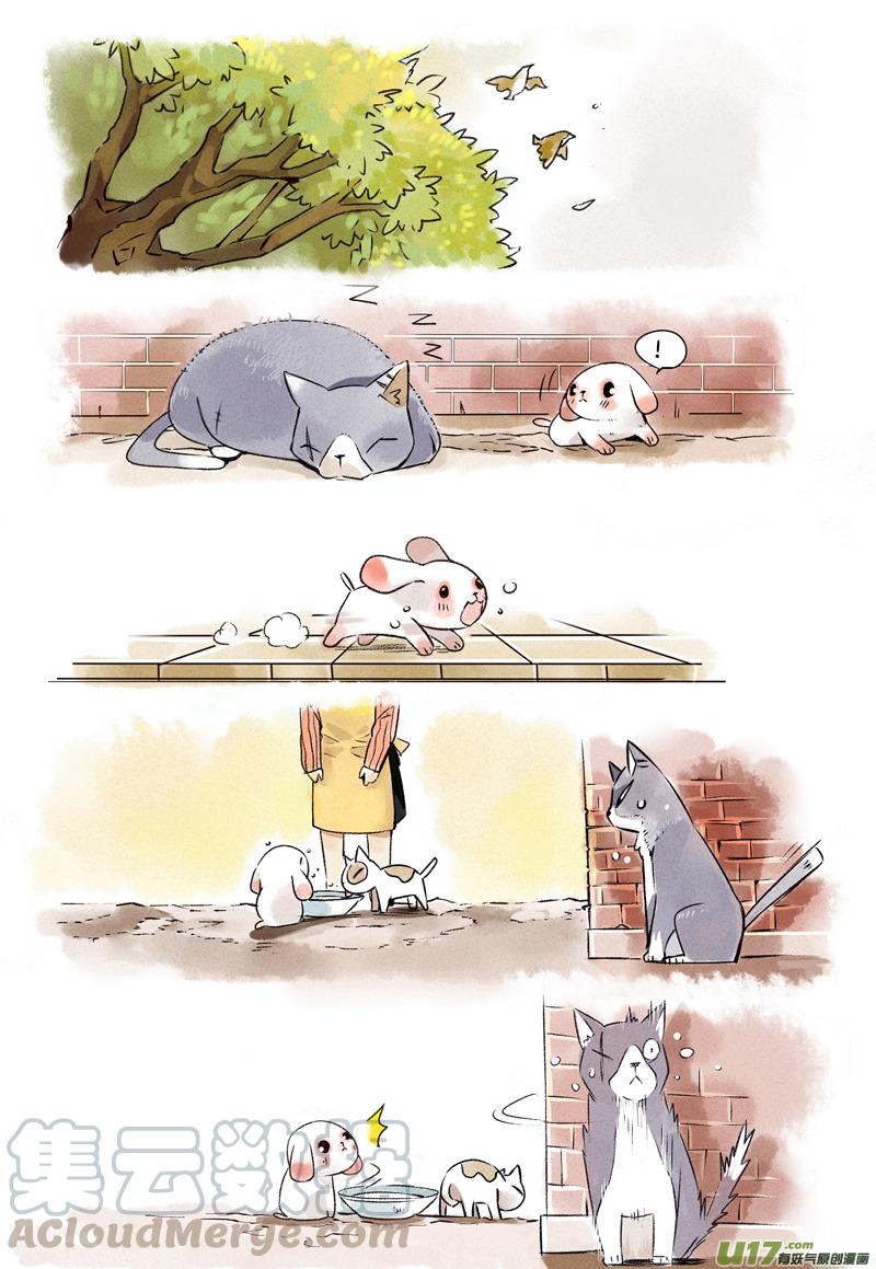 053 吃不饱的花卷30