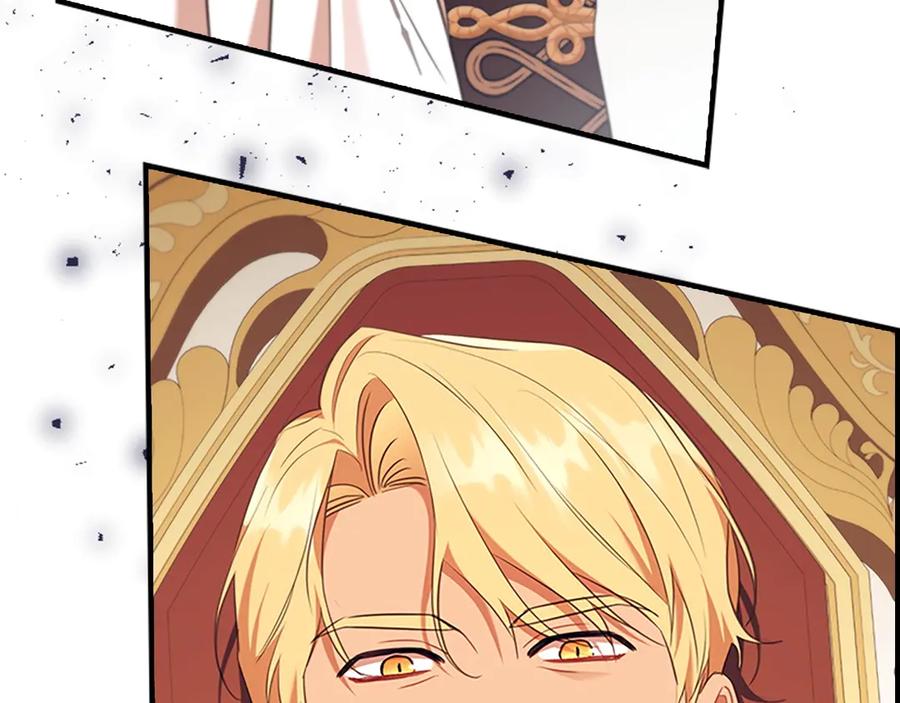 番外8 准备出兵3