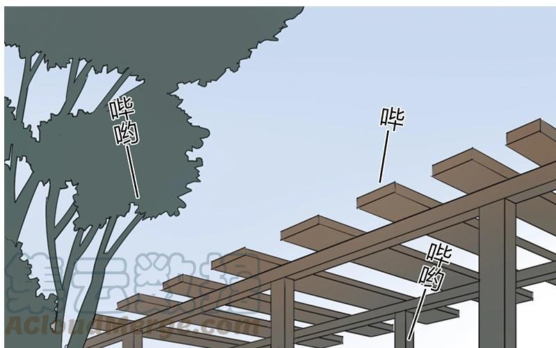 第21话 我们不是结婚了吗？0