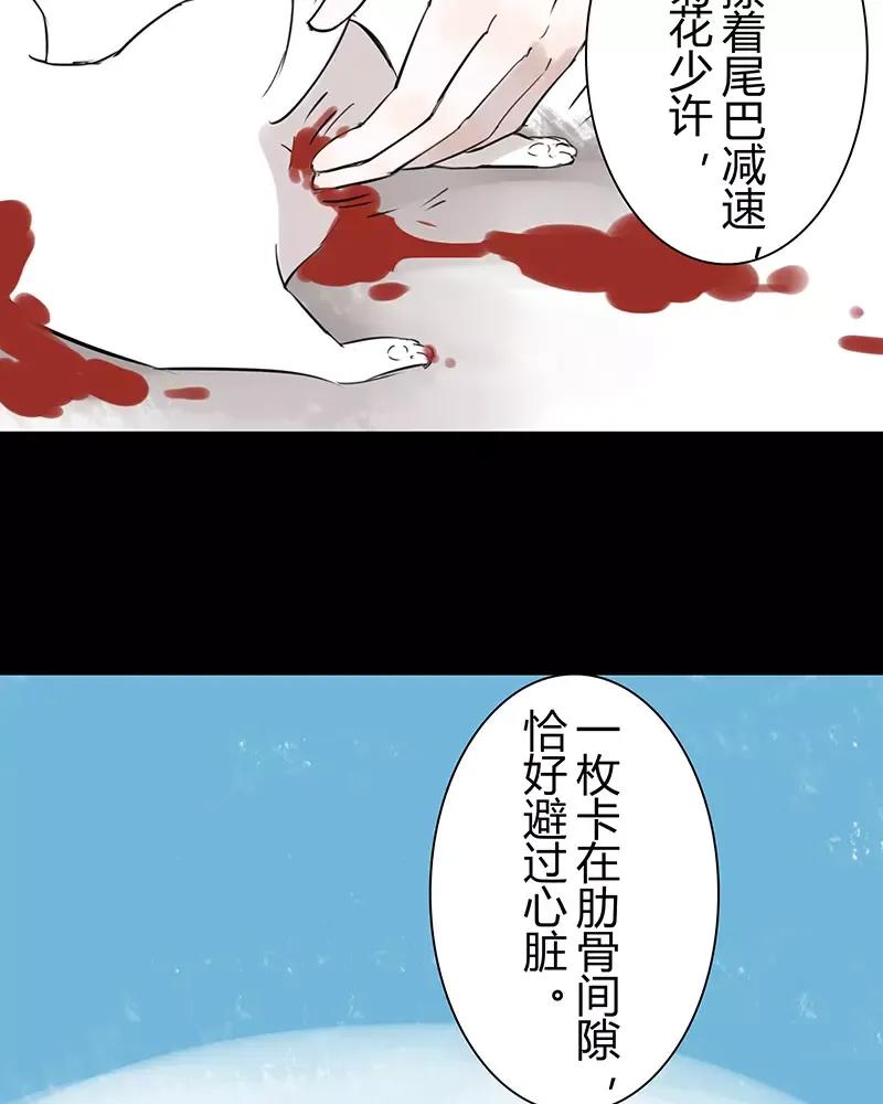 第50话 这小家伙没事呀1