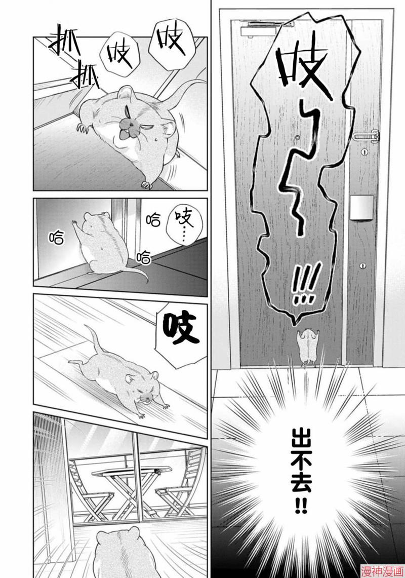 款待的是亲吻和鸣叫~漫画,第10话2图