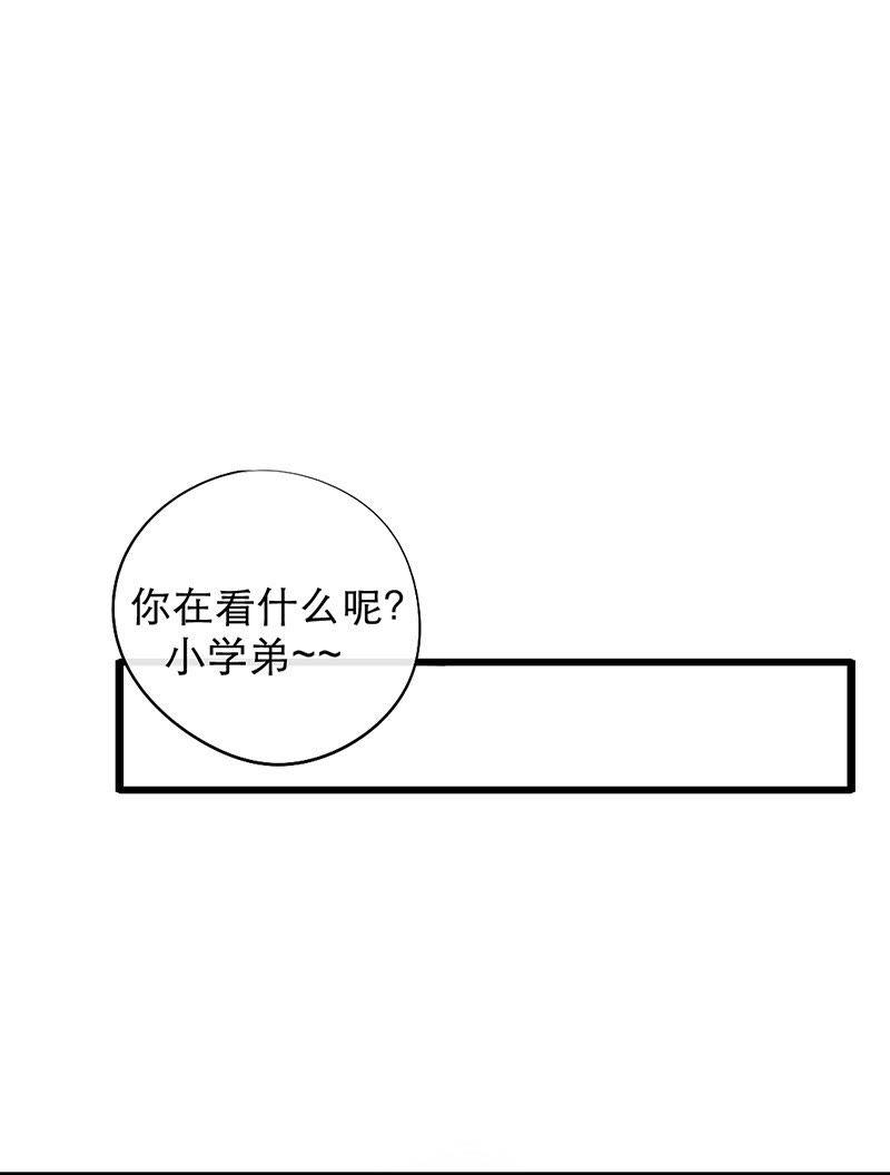 第13话 按计划行动2