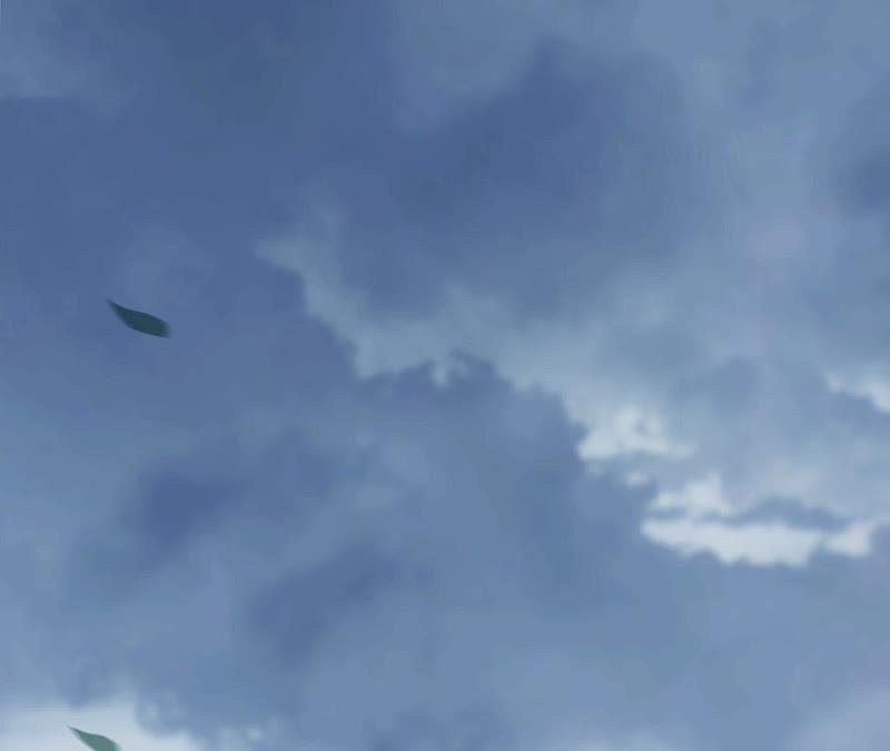 第34话 风评被害3