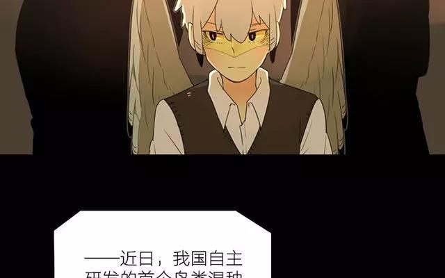 第18话 实验结束，是要被回收了吧2