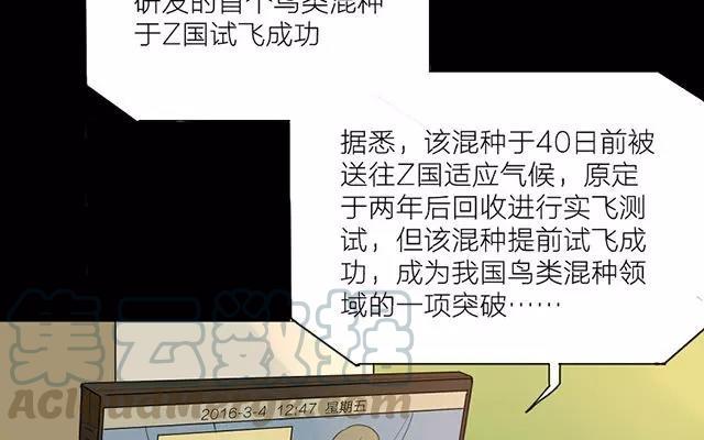 第18话 实验结束，是要被回收了吧3