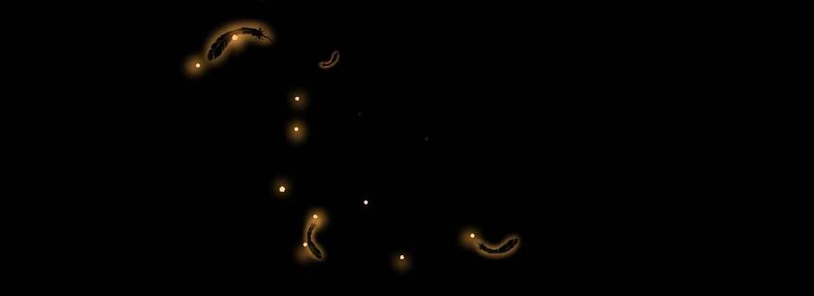 月下有红绳~漫画,重伤2图