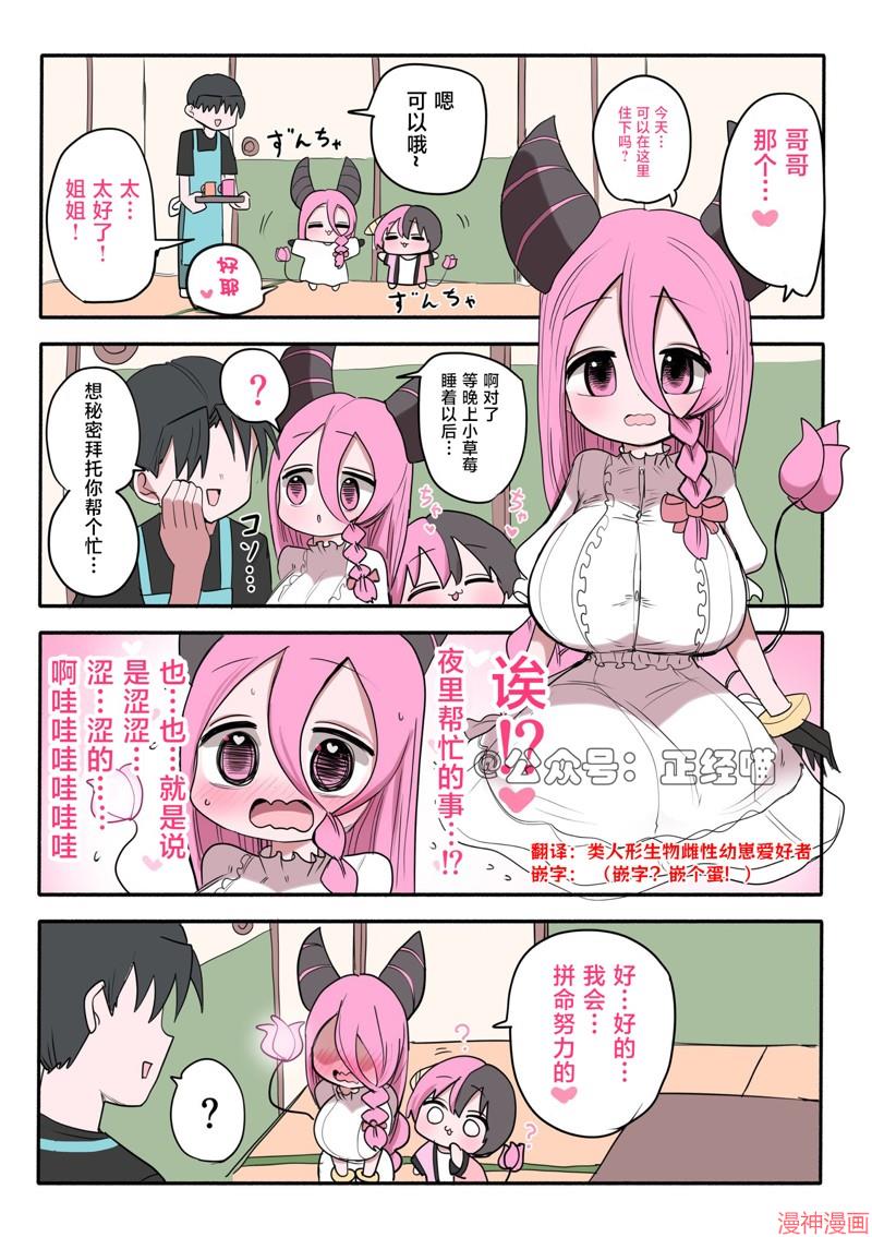 混血魅魔与生日1