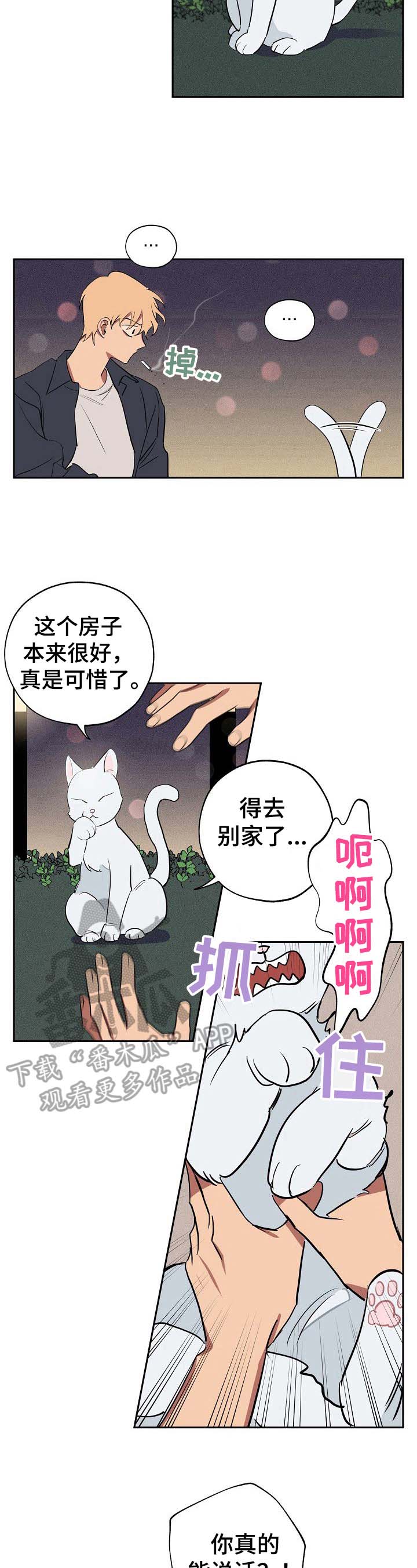 记忆规律与遗忘规律漫画,第33章：忠告5图