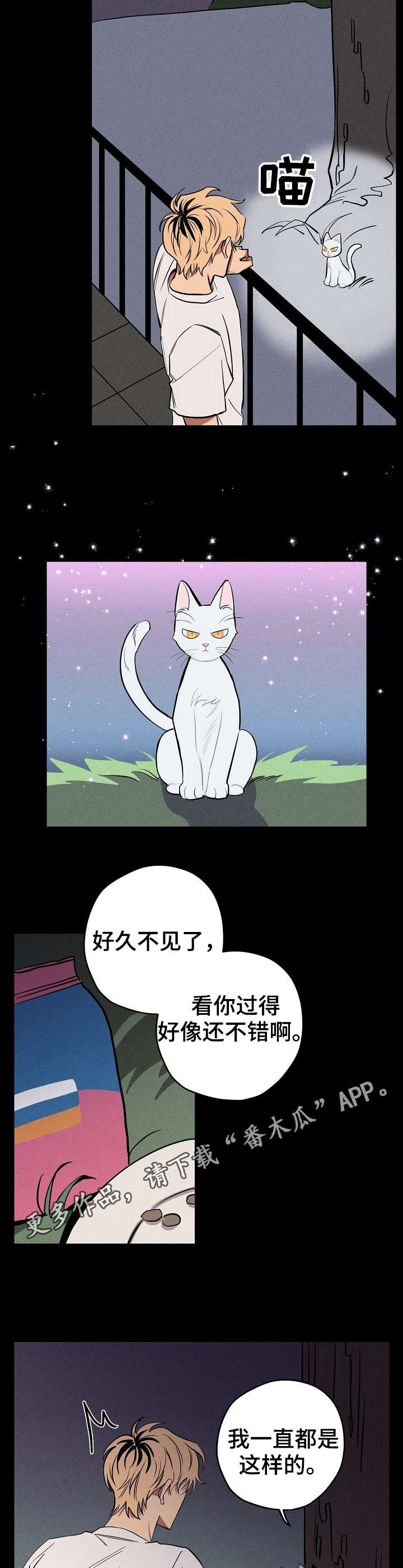 记忆轨迹怎么看漫画,第10章：说话的猫2图