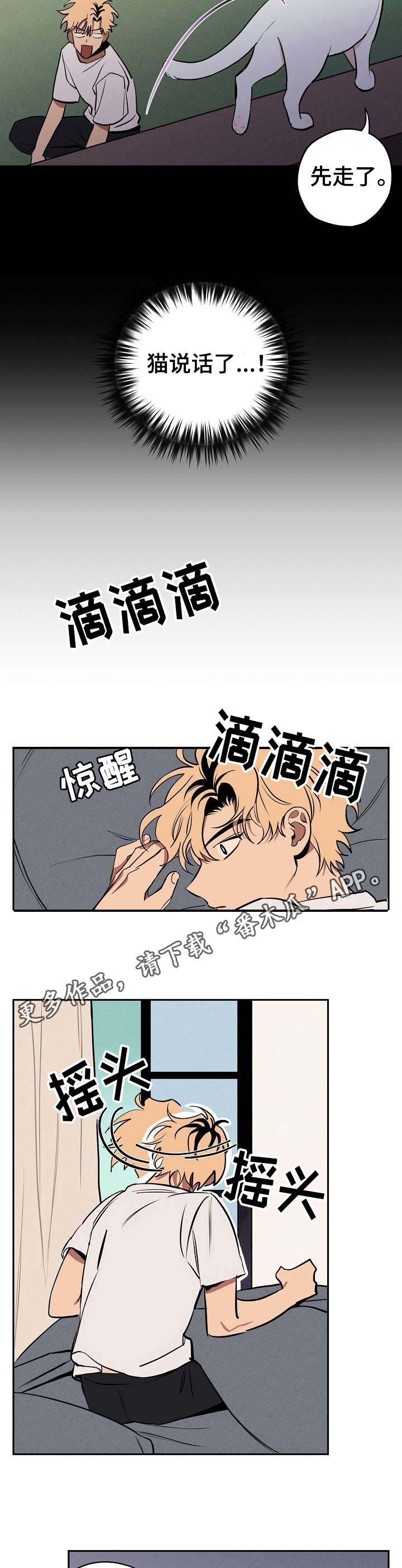 记忆轨迹怎么看漫画,第10章：说话的猫4图