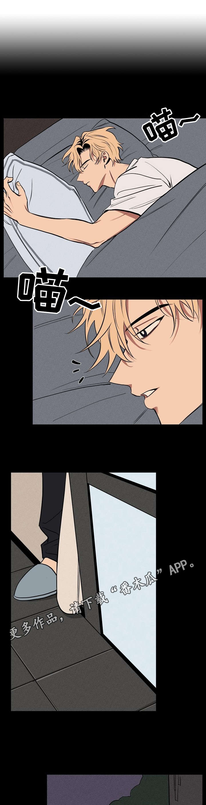 记忆轨迹怎么看漫画,第10章：说话的猫1图