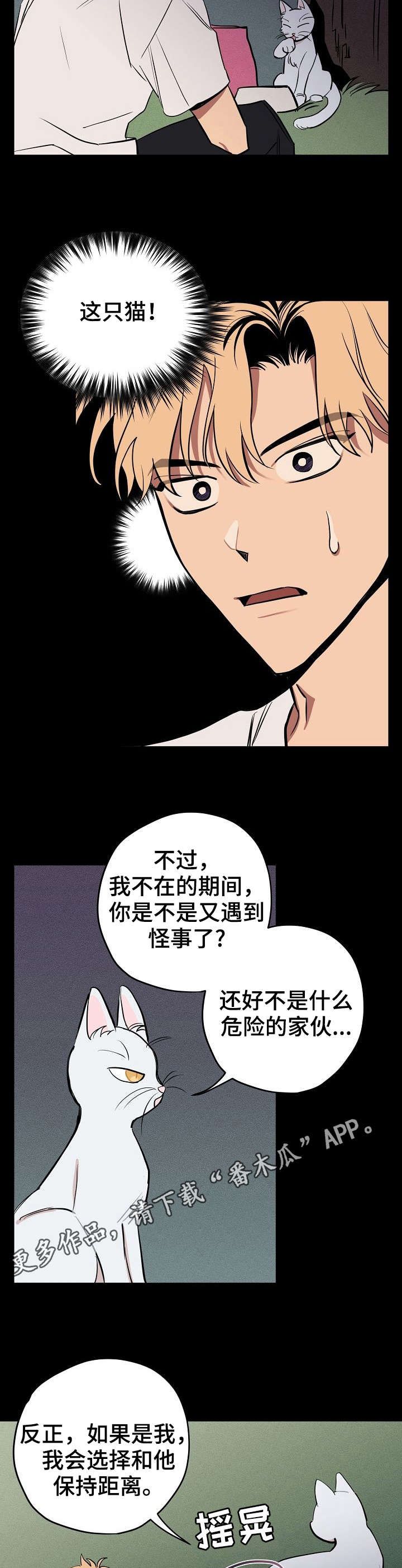 记忆轨迹怎么看漫画,第10章：说话的猫3图