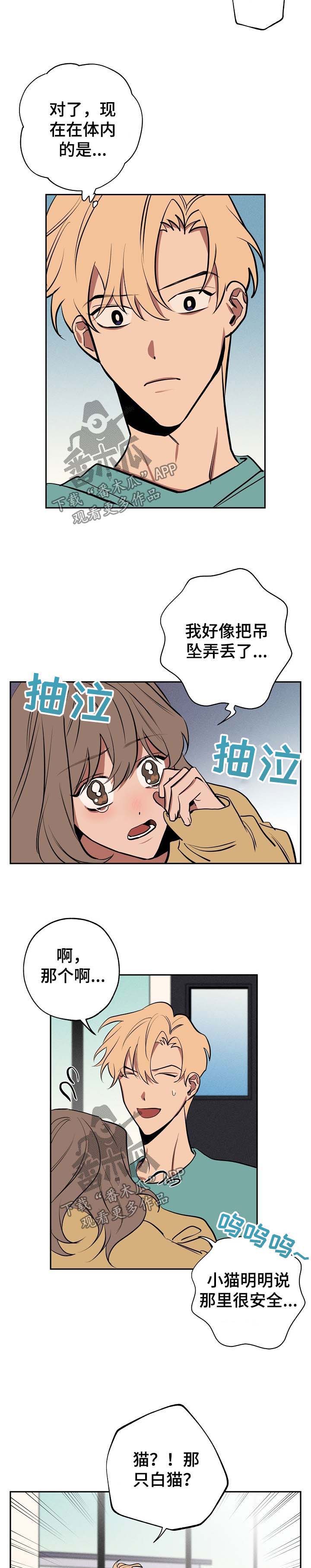 记忆规律与遗忘规律漫画,第51章：坦白4图