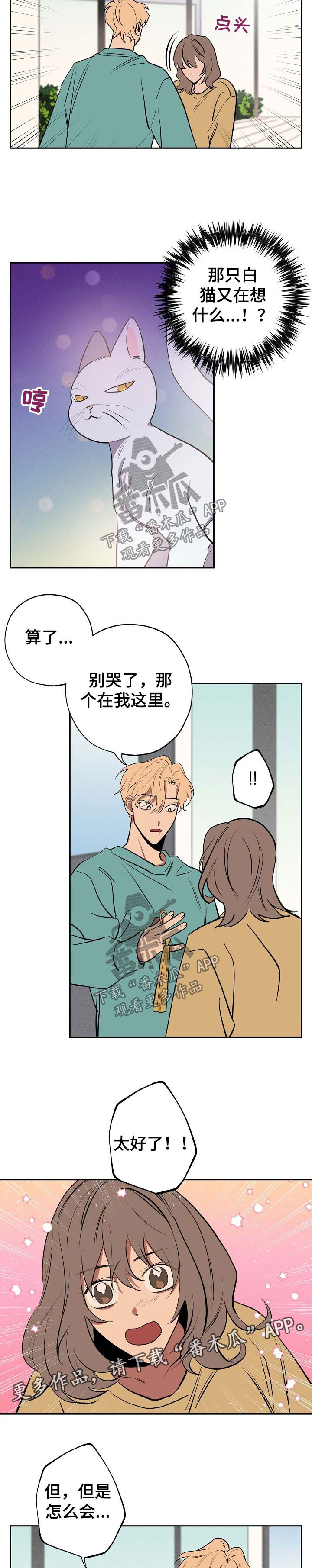记忆规律与遗忘规律漫画,第51章：坦白5图