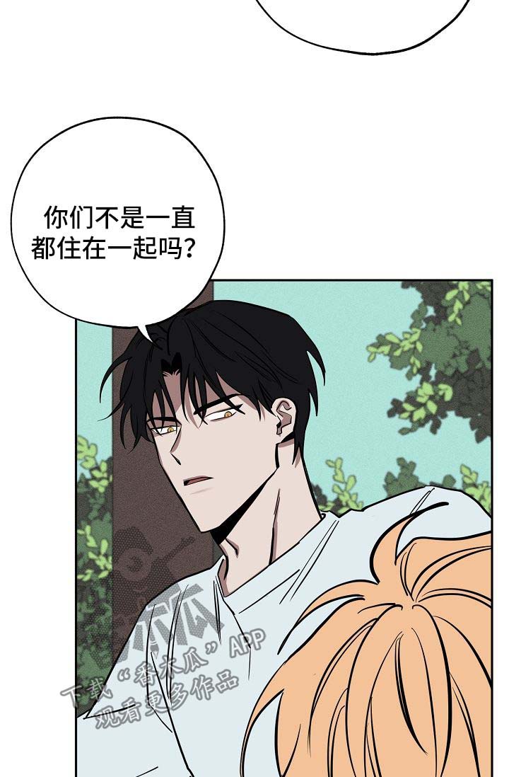 黎之轨迹漫画,第19章：落单3图