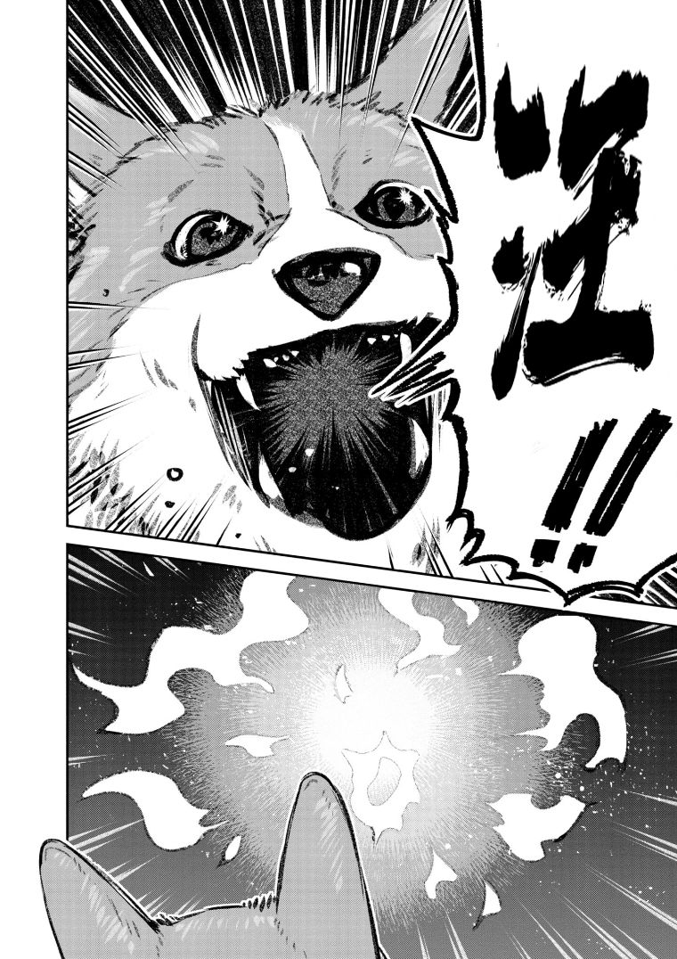 与面疮相伴漫画漫画,第43话4图