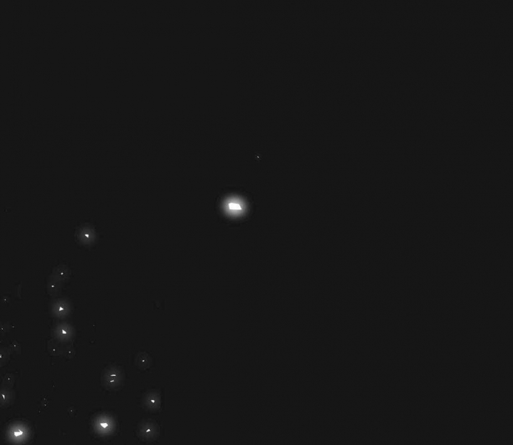 纽约危情剧透漫画,第148话1图