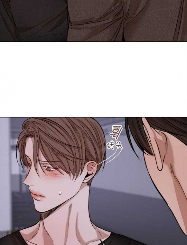 世联资管是什么公司漫画,第100话2图