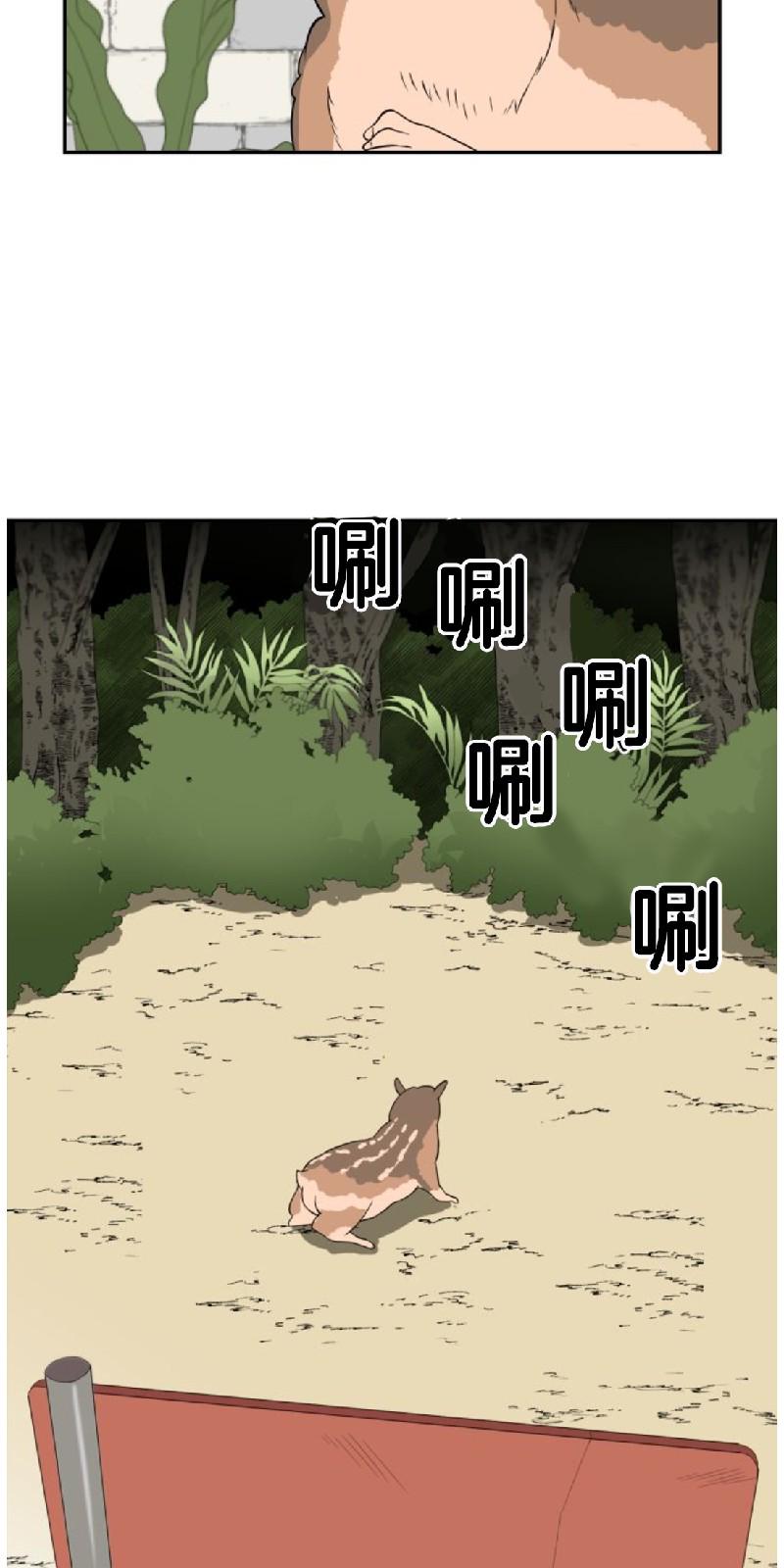 动物王国英语漫画,第二季 第1话4图