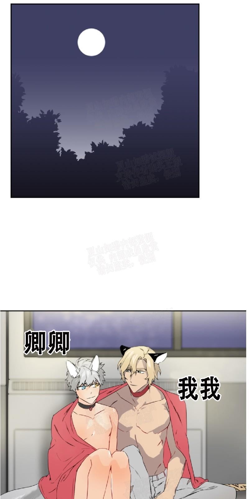 动物王国英语漫画,第26话1图