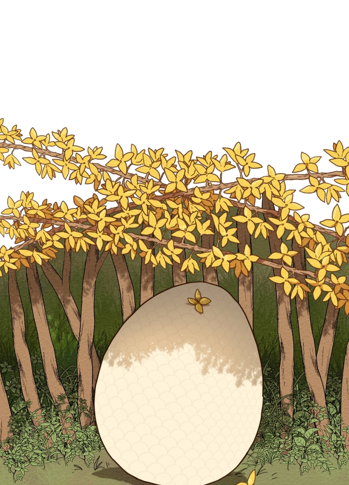 铺满金钟花的路漫画免费下拉式漫画,第2话1图